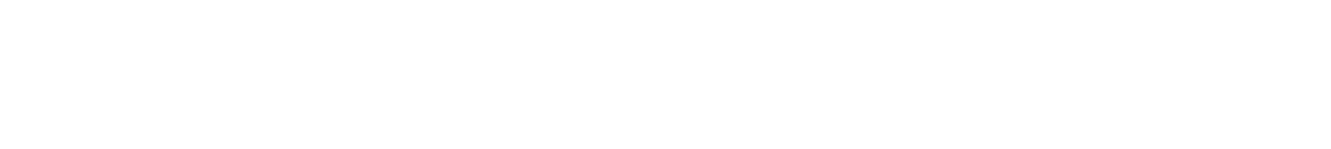 logo light